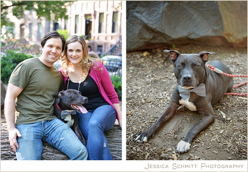 engagement photography with a dog