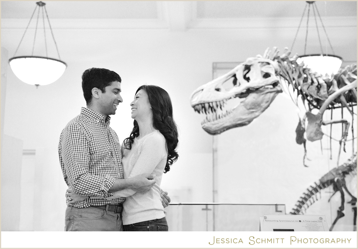 Natural History Museum engagement dinosaurs