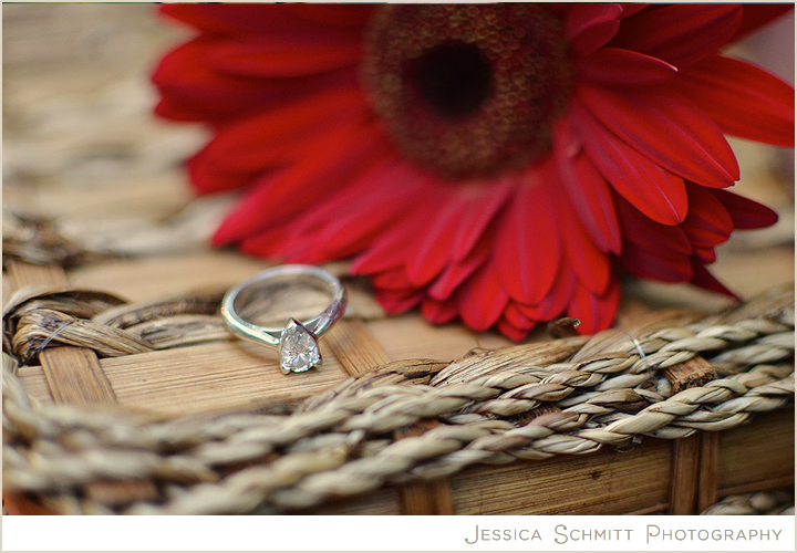 Wedding engagement ring picnic photo