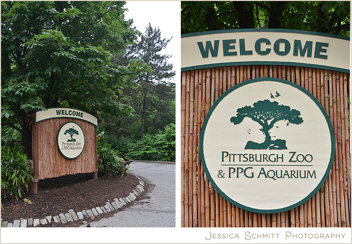 Pittsburgh Zoo PPG Aquarium Pennsylvania 