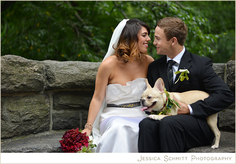 NYC wedding with french bulldog puppy photography