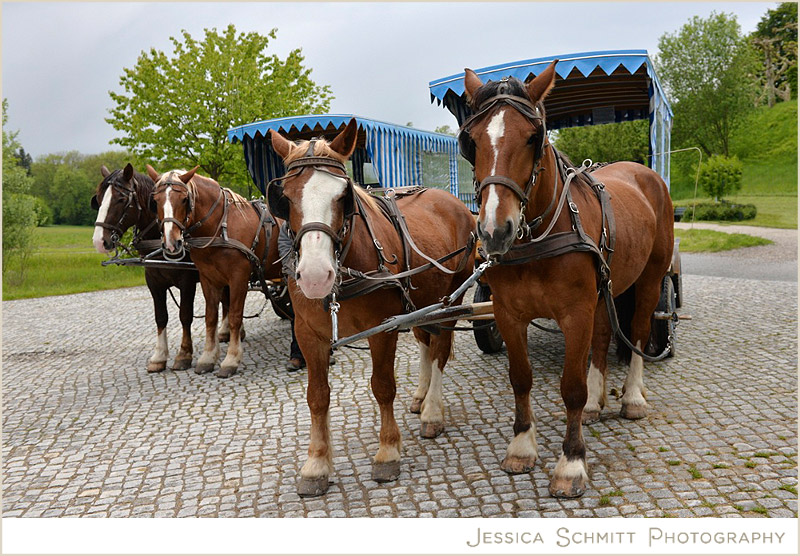 Horse and Carriage Germany