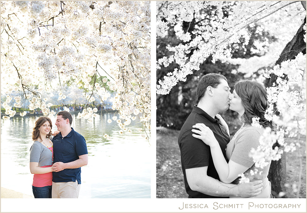 cherry blossom engagement photography