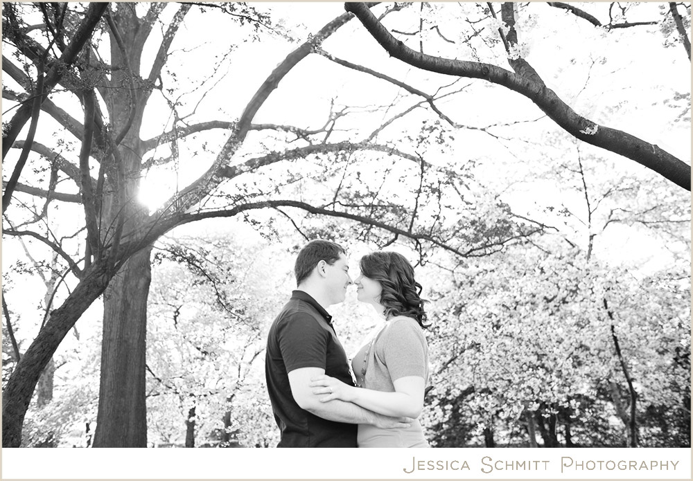 Cherry Blossom Washington DC engagement photography