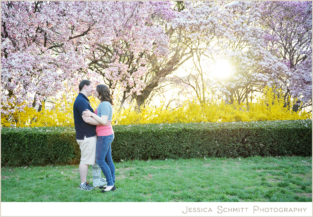 Cherry Blossom Washington DC sunset