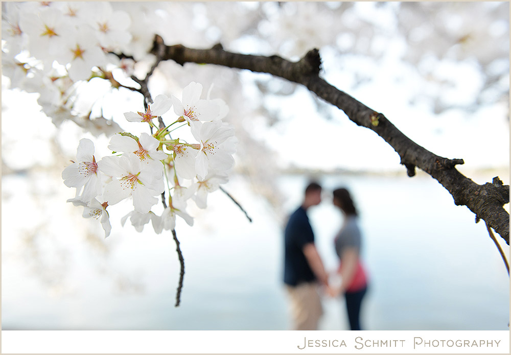 Cherry Blossom Washington DC engagement photography