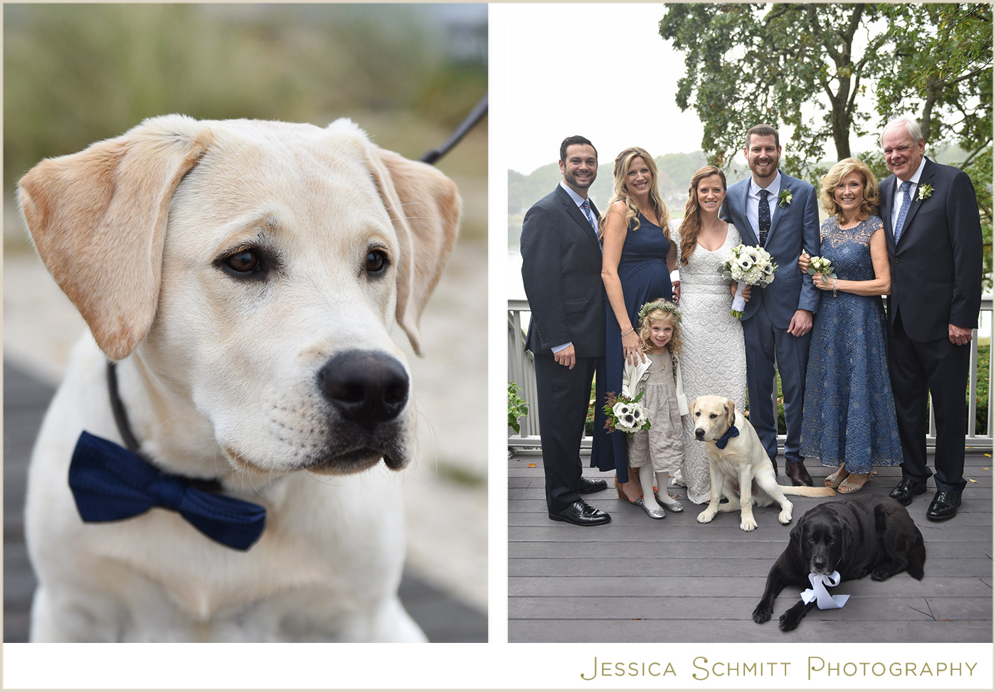 wedding family dog