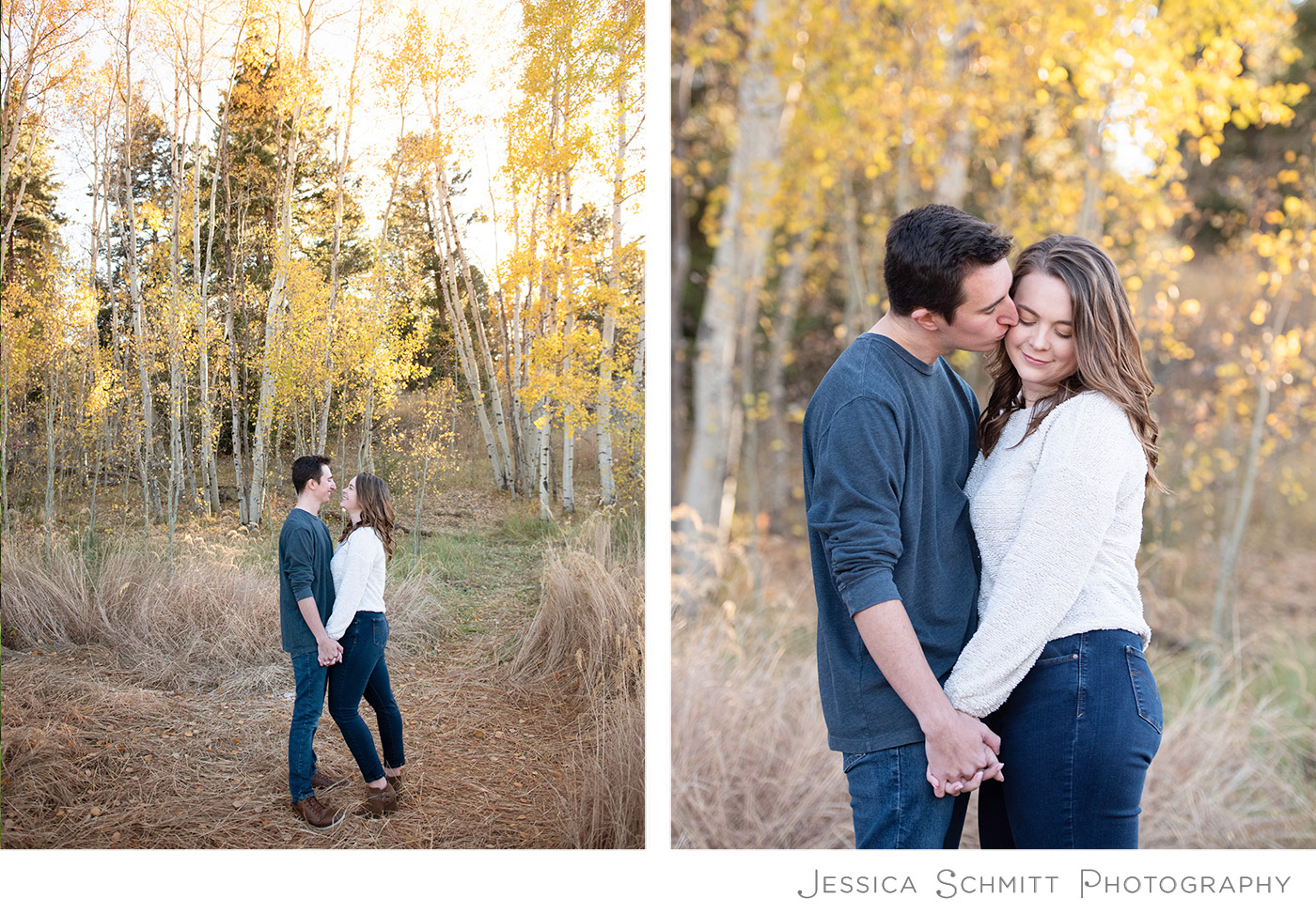 aspen tree colorado engagement, meyer ranch park