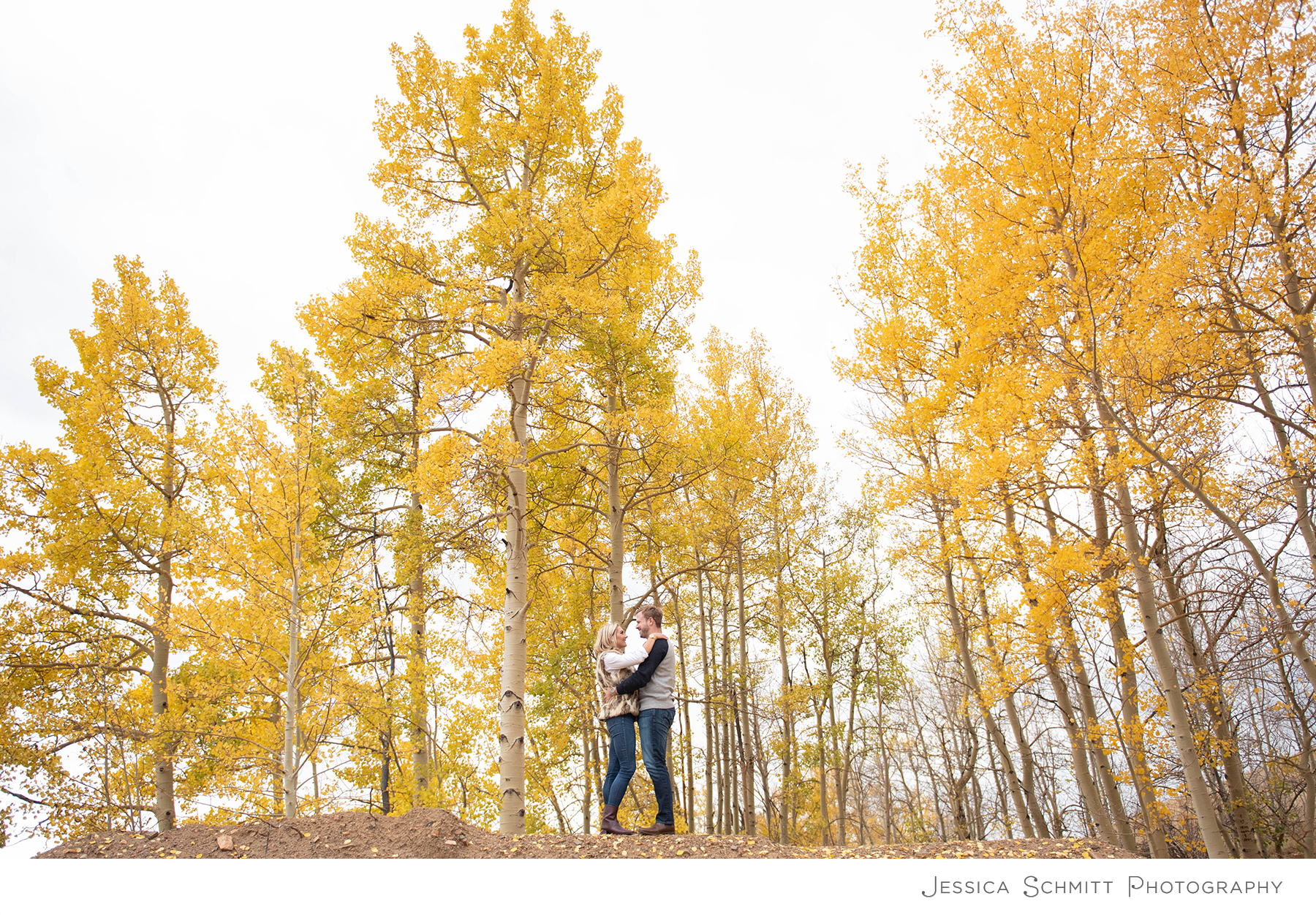 colorado aspen trees engagement