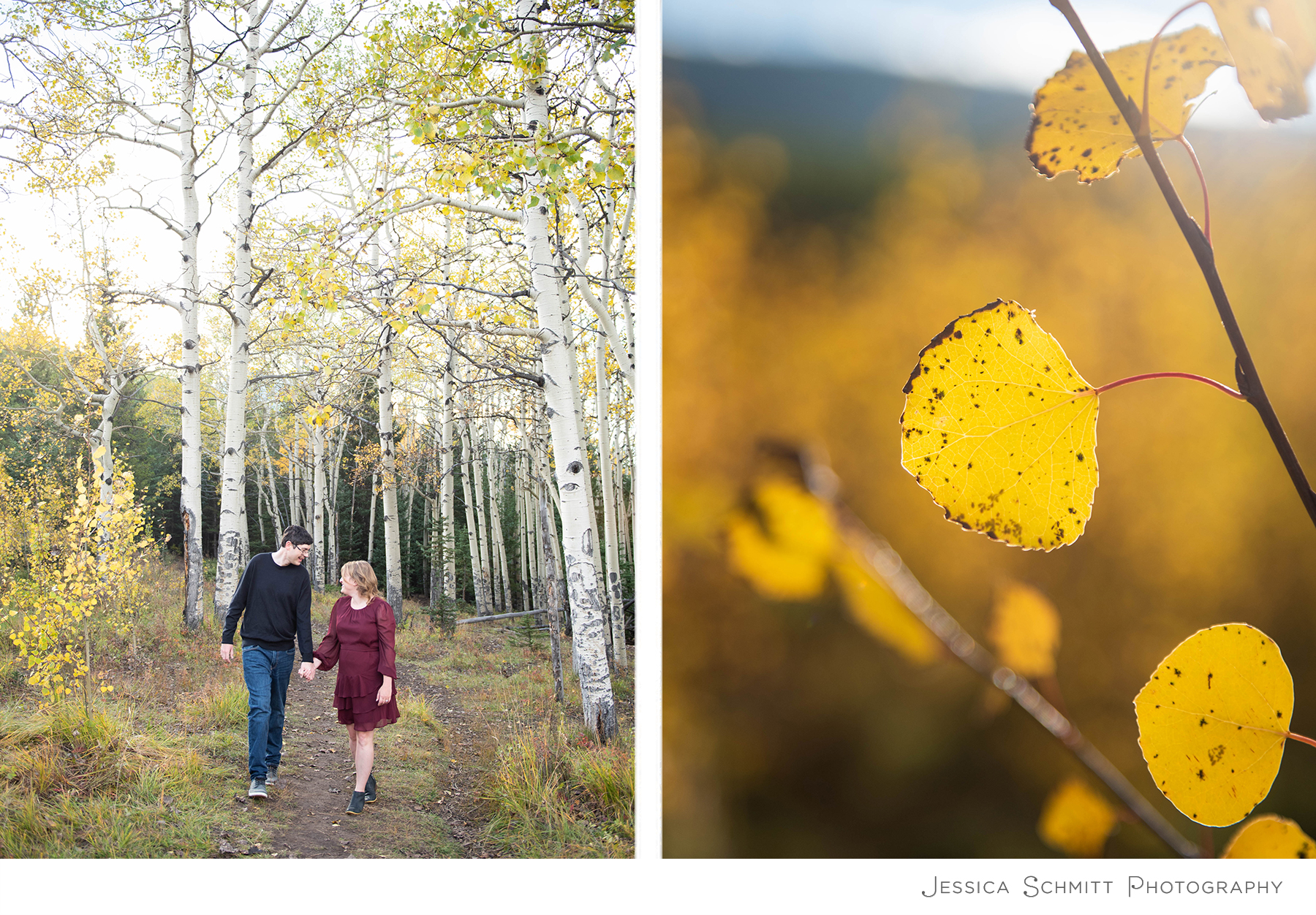 colorado aspen tree engagement