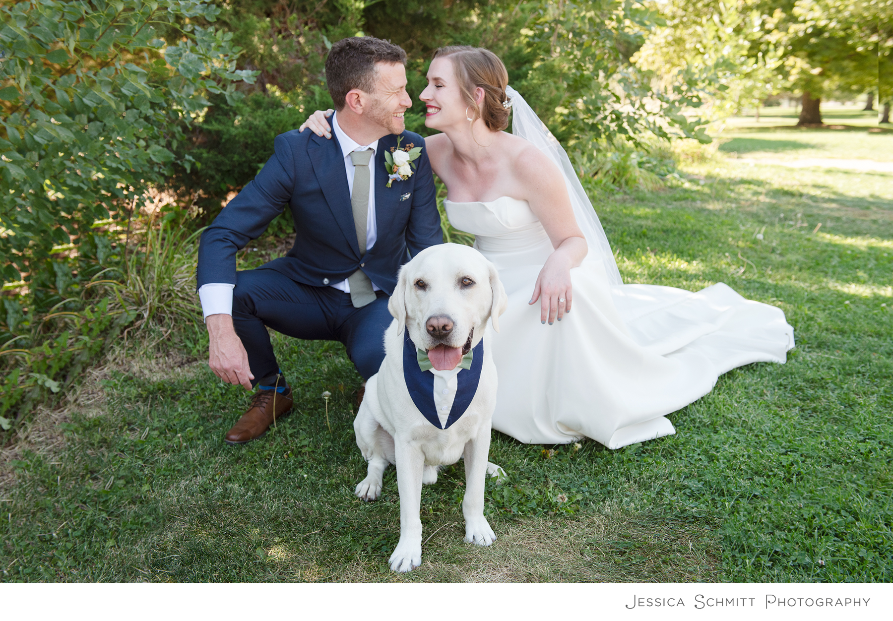 how to bring your dog to your wedding